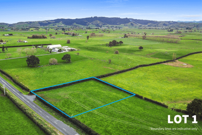 /international/nz/356-mangateparu-loop-road-morrinsville-matamata-piako-380066092597/