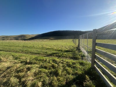/international/nz/720-levels-valley-road-levels-valley-levels-timaru-380066100008/