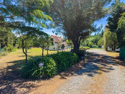 /international/nz/453-tetley-brook-road-seddon-marlborough-380066087133/