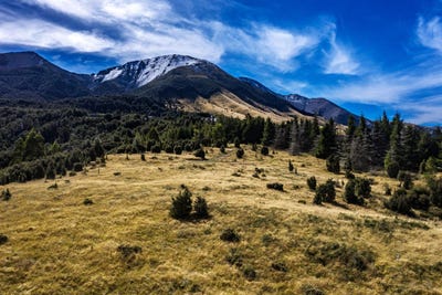 /international/nz/253-mt-lyford-forest-drive-lyford-hurunui-380066081585/