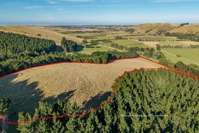 /international/nz/270-millers-road-gebbies-valley-motukarara-selwyn-380066080637/