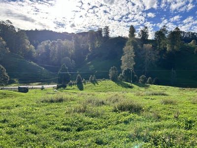 /international/nz/otorohanga-waikato-380066111633/