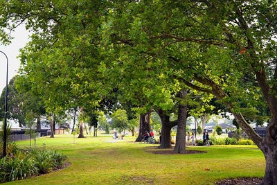 /international/nz/17-wilkin-road-woodend-waimakariri-380066118576/