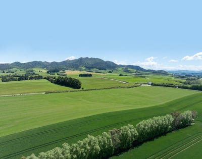 /international/nz/205-reaby-road-gore-southland-380066082987/