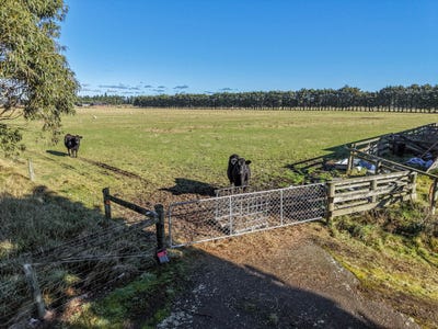 /international/nz/77-leslies-road-cust-waimakariri-380066167375/