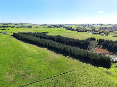 /international/nz/413a-baylys-coast-road-dargaville-kaipara-380066082103/