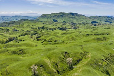 /international/nz/1262-1520-maraetotara-road-waimarama-hastings-380066084327/