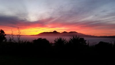/international/nz/45b-finlayson-road-ruatangata-whangarei-380066090493/