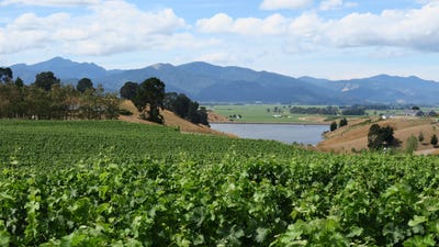 /international/nz/488-delta-lake-heights-renwick-marlborough-380066078293/