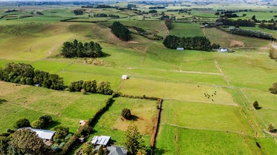 /international/nz/eltham-south-taranaki-380066085327/