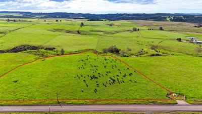 /international/nz/542-mangakaretu-road-kerikeri-surrounds-far-north-380066079118/