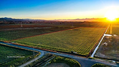 /international/nz/91-eckfords-road-blenheim-central-marlborough-380066075743/