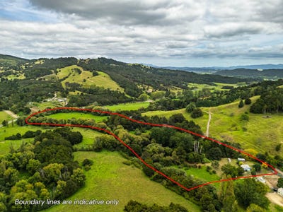 /international/nz/1115a-horeke-road-okaihau-far-north-380066076493/
