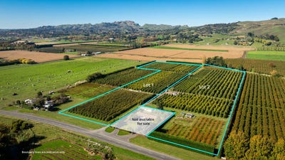 /international/nz/83-mount-erin-road-havelock-north-hastings-380066080218/