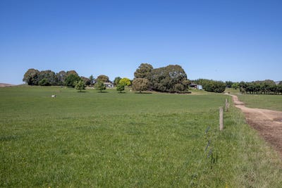/international/nz/270-downs-road-cheviot-hurunui-380066169988/