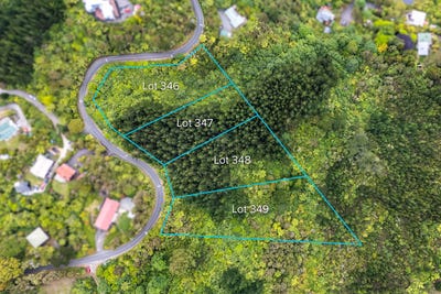 /international/nz/blue-mountains-upper-hutt-city-380066092535/