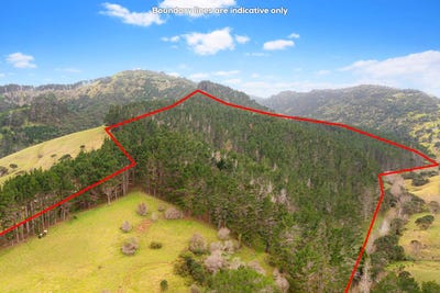 /international/nz/kaipara-flats-rodney-380066082832/