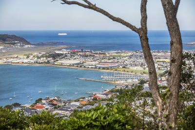 /international/nz/14-alexandra-road-roseneath-dunedin-city-380066117188/
