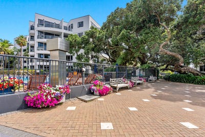 /international/nz/takapuna-north-shore-city-380066108642/