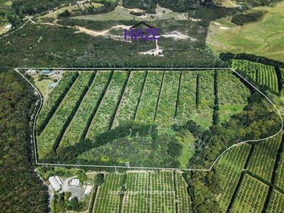 /international/nz/377-paparore-road-kaitaia-far-north-380066080535/