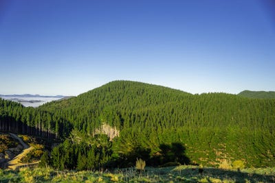 /international/nz/dannevirke-tararua-380066086758/