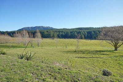 /international/nz/480-cramptons-bush-road-amberley-hurunui-380066078573/