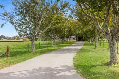 /international/nz/4599-state-highway-29-matamata-waikato-380066080042/