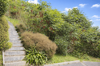 /international/nz/seatoun-wellington-city-380066122581/