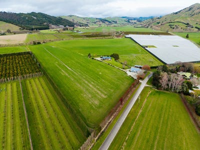 /international/nz/379-papatu-road-manutuke-gisborne-380066179484/