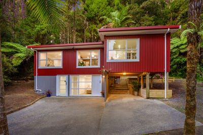 /international/nz/kauri-loop-road-oratia-waitakere-city-380066115990/