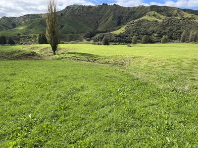 /international/nz/lot-8-632-mangaotuku-road-douglas-stratford-380066080438/