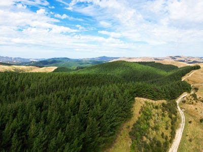 /international/nz/1151-waitawhiti-road-tinui-masterton-380066078588/