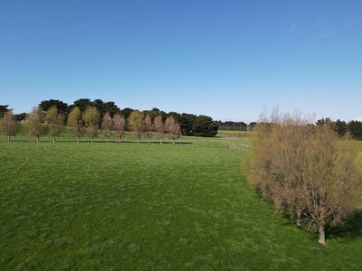 /international/nz/592-pinfold-road-woodville-tararua-380066081863/