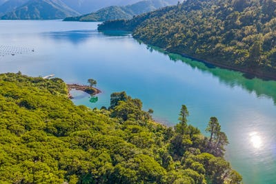/international/nz/pelorus-sounds-marlborough-380066119939/