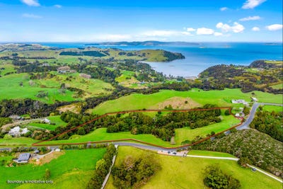 /international/nz/matakana-rodney-380066110911/