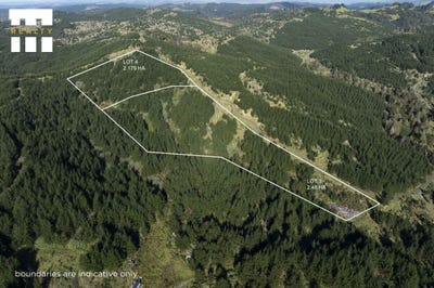 /international/nz/lot-3-and-4-tunatahi-road-north-hokianga-far-north-380066078391/