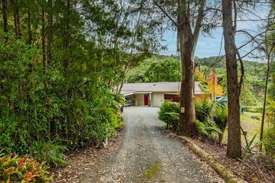 /international/nz/168-dip-road-kaeo-far-north-380066078785/