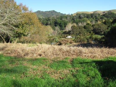 /international/nz/16-woodstock-avenue-karangahake-hauraki-380066109962/