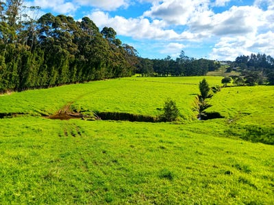 /international/nz/0-larmer-road-ahipara-far-north-380066123881/