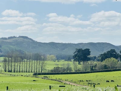 /international/nz/te-kauwhata-waikato-380066110256/