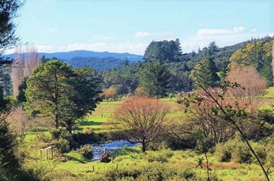 /international/nz/2383-state-highway-12-kaikohe-far-north-380066077773/
