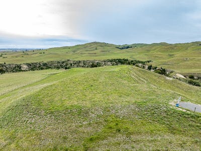 /international/nz/maraekakaho-hastings-380066094838/