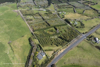 /international/nz/lot-10-27-turk-valley-rd-pukenui-far-north-380066086769/