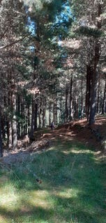 /international/nz/3586c-waihopai-valley-rd-waihopai-valley-marlborough-380066077346/