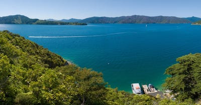 /international/nz/queen-charlotte-sound-marlborough-380066104332/