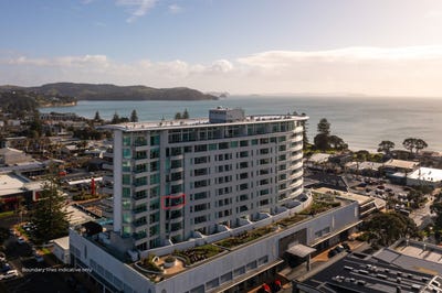 /international/nz/orewa-rodney-380066116936/