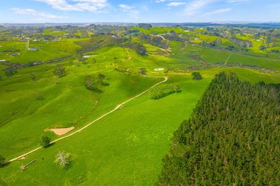 /international/nz/515-kahikatea-flat-road-waitoki-rodney-380066085791/