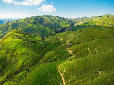 /international/nz/matawai-gisborne-380066082173/