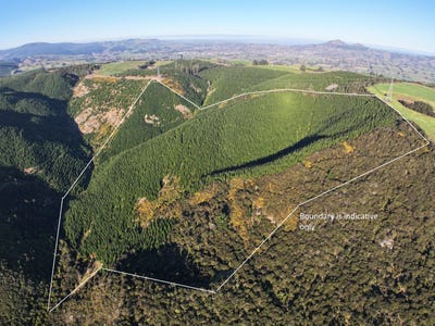 /international/nz/192-taieri-view-road-north-taieri-dunedin-city-380066168227/