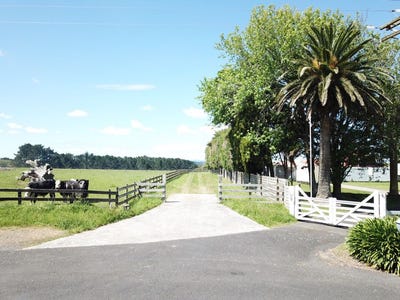 /international/nz/131-saddleton-road-waiau-pa-franklin-380066108641/